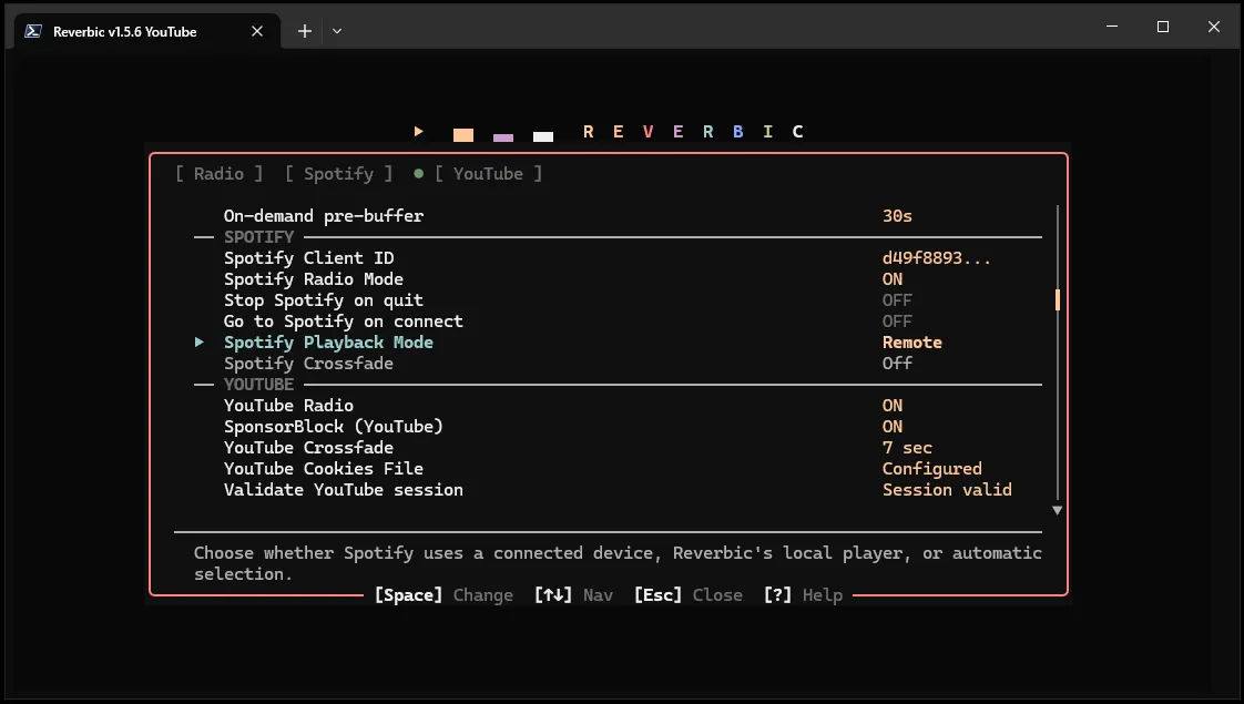 Reverbic settings panel with Spotify and YouTube options.
